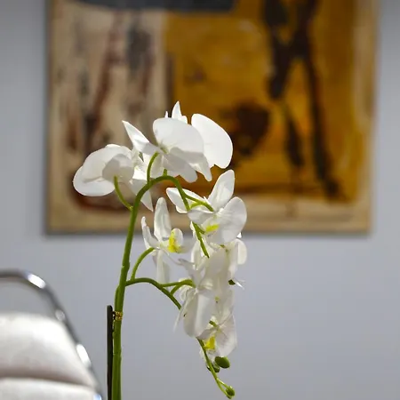 Vendégház Doanesia 4*