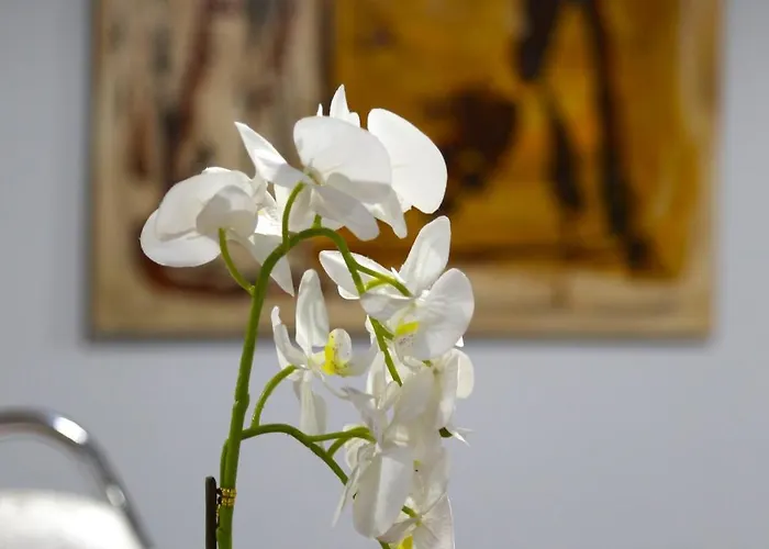 ゲストハウス Doanesia 4*