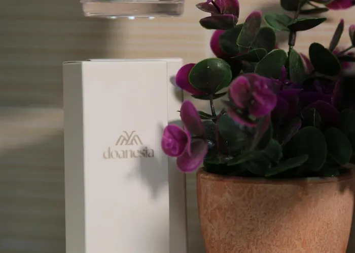 Doanesia Pensión Mezez